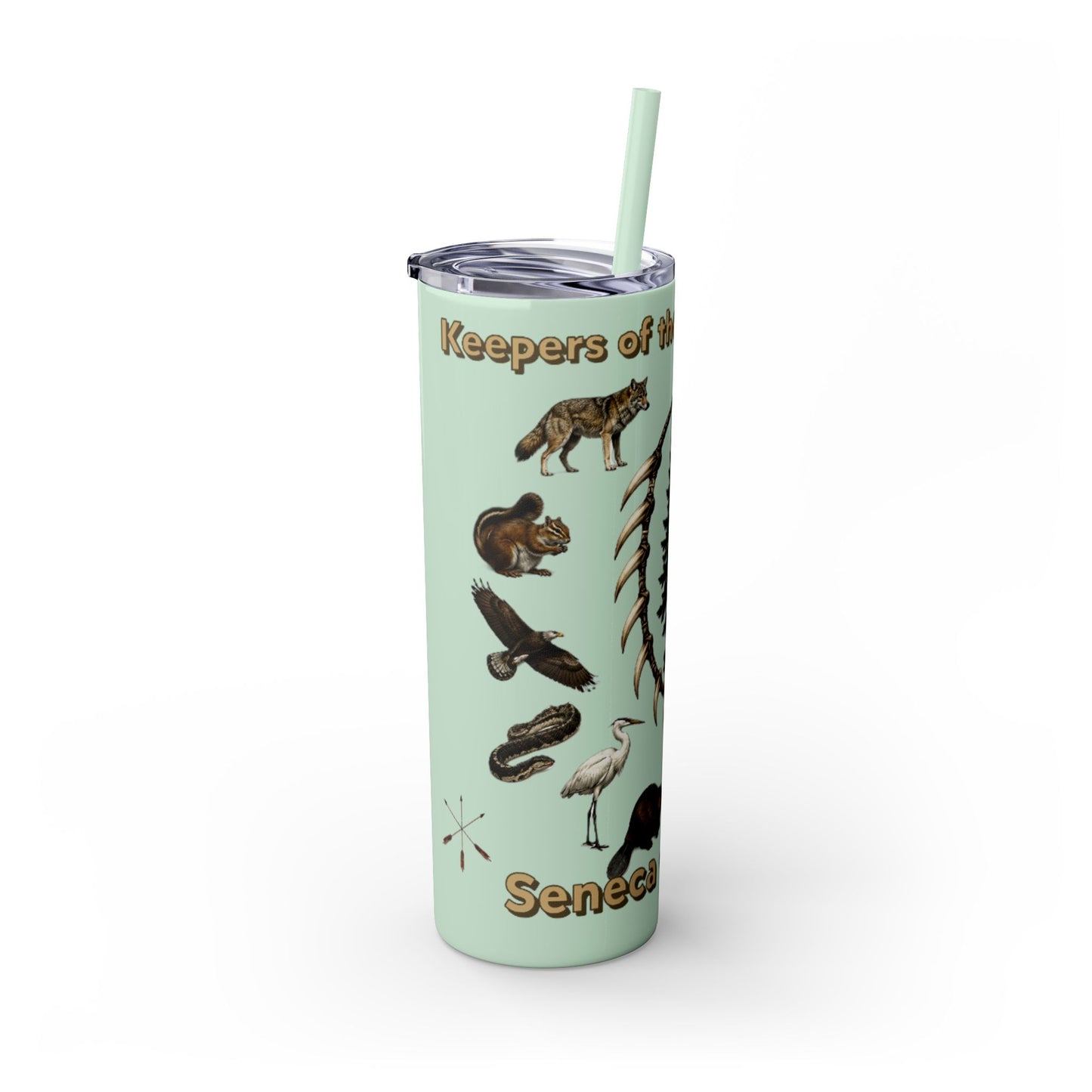 Seneca Cayuga Skinny Tumbler with Straw, 20oz