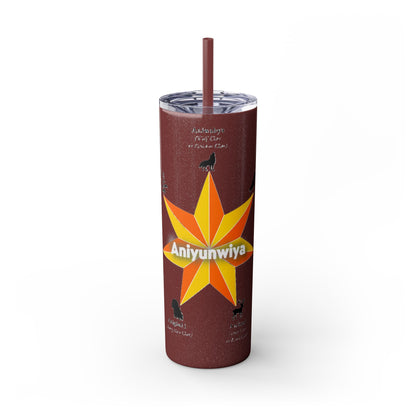 Cherokee 20oz Skinny Tumbler - Aniyunwiya Star Design with Straw