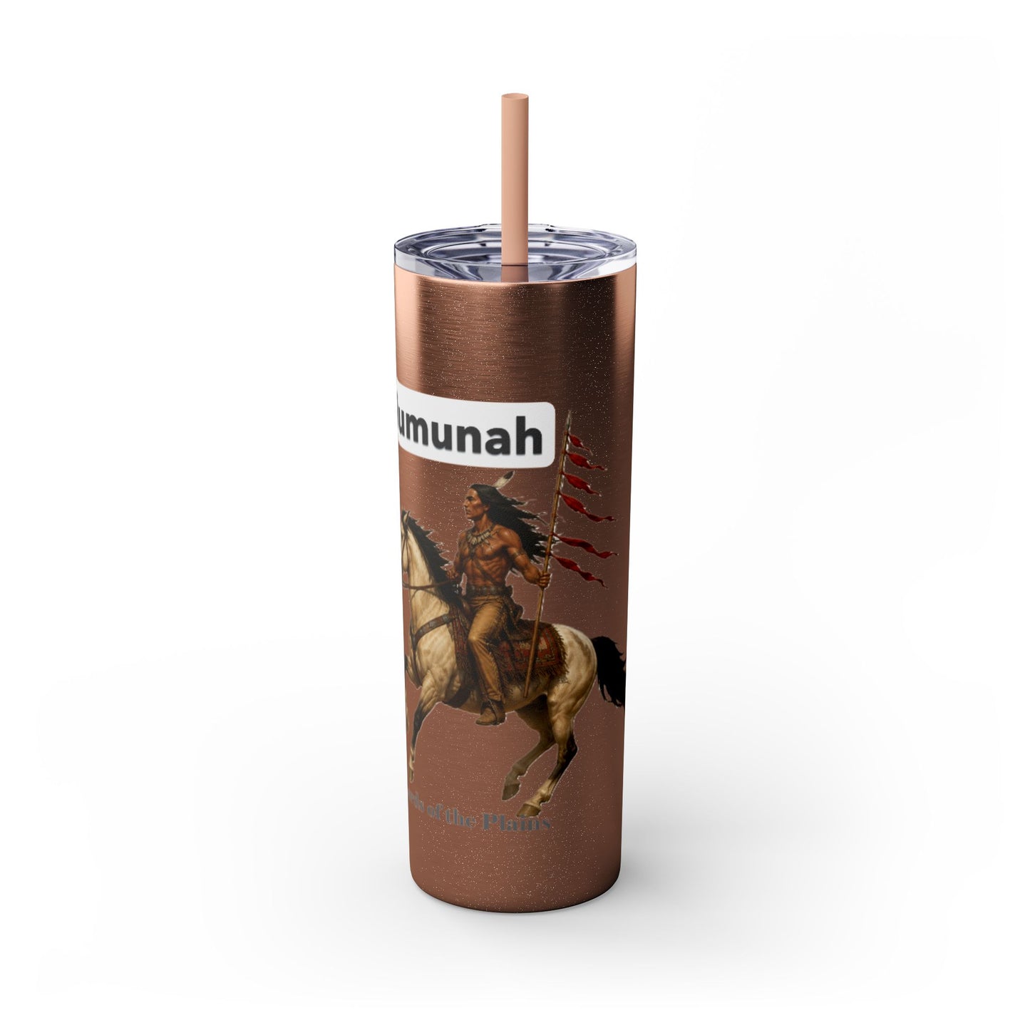 Comanche Numunah Warrior Horse 20oz Skinny Tumbler with Straw — Native American Inspired Travel Cup