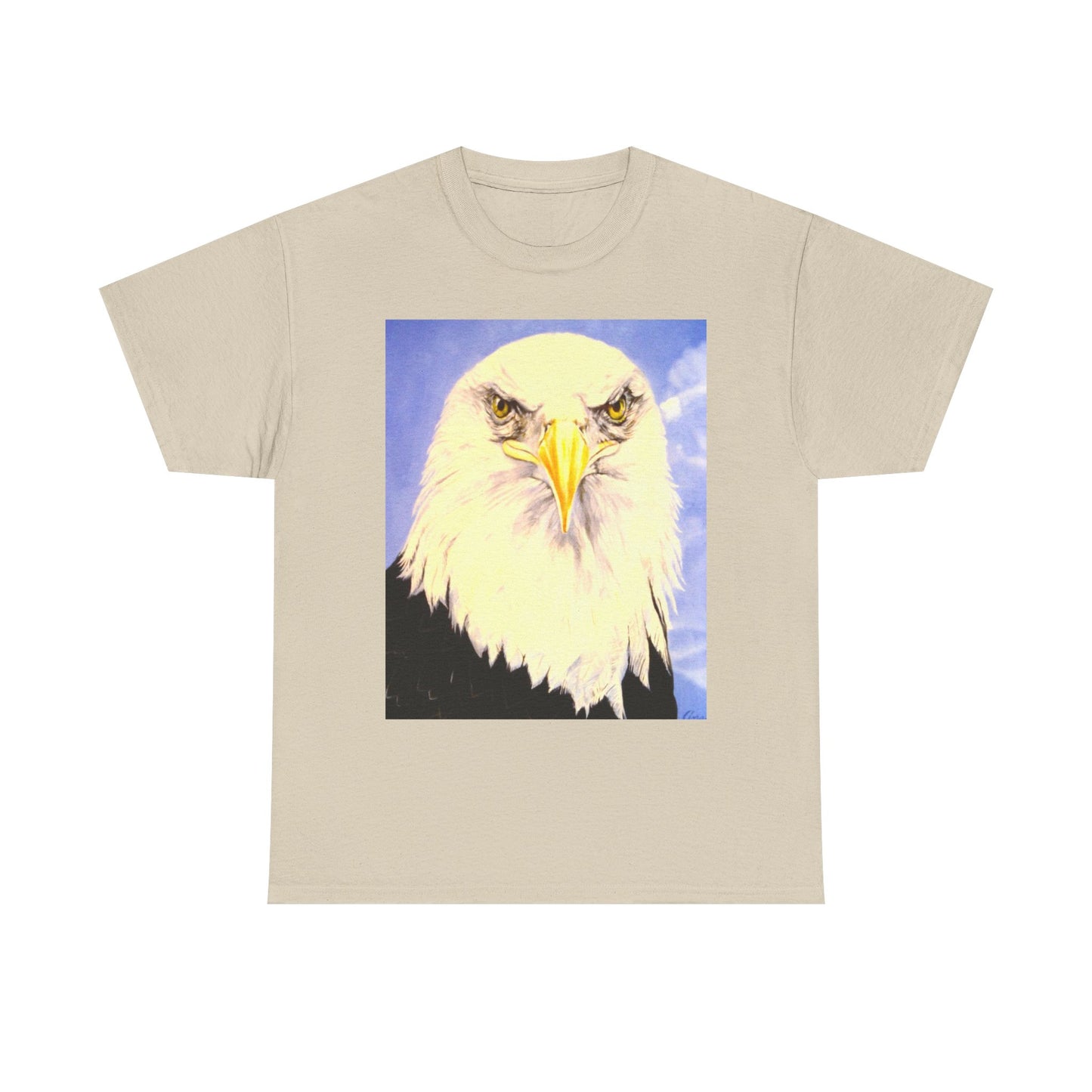 Bald Eagle Graphic Tee — Patriotic Vintage Bird T-Shirt with Arrow Back Design