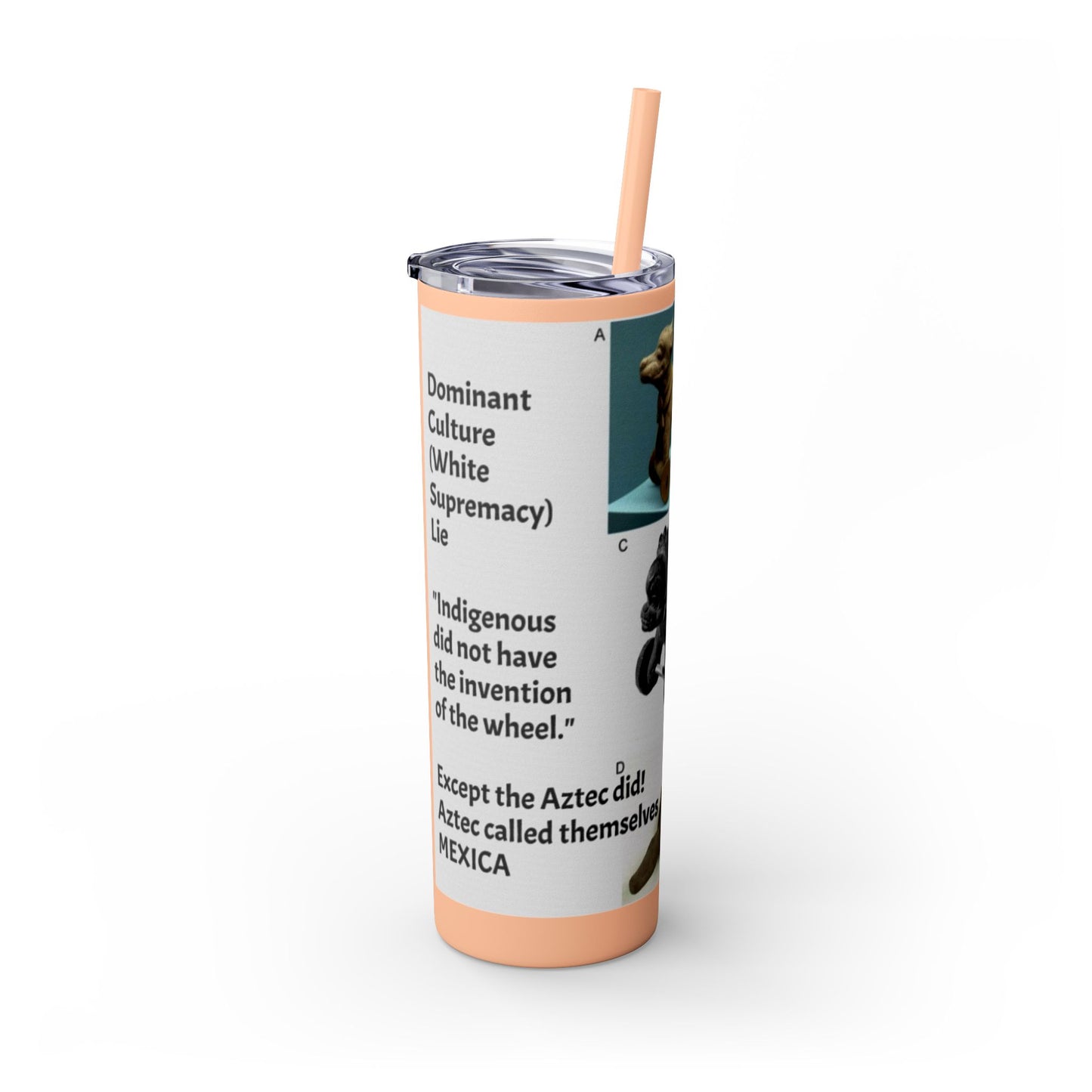 Aztec 20oz Skinny Tumbler - Educational Indigenous Artifacts Design