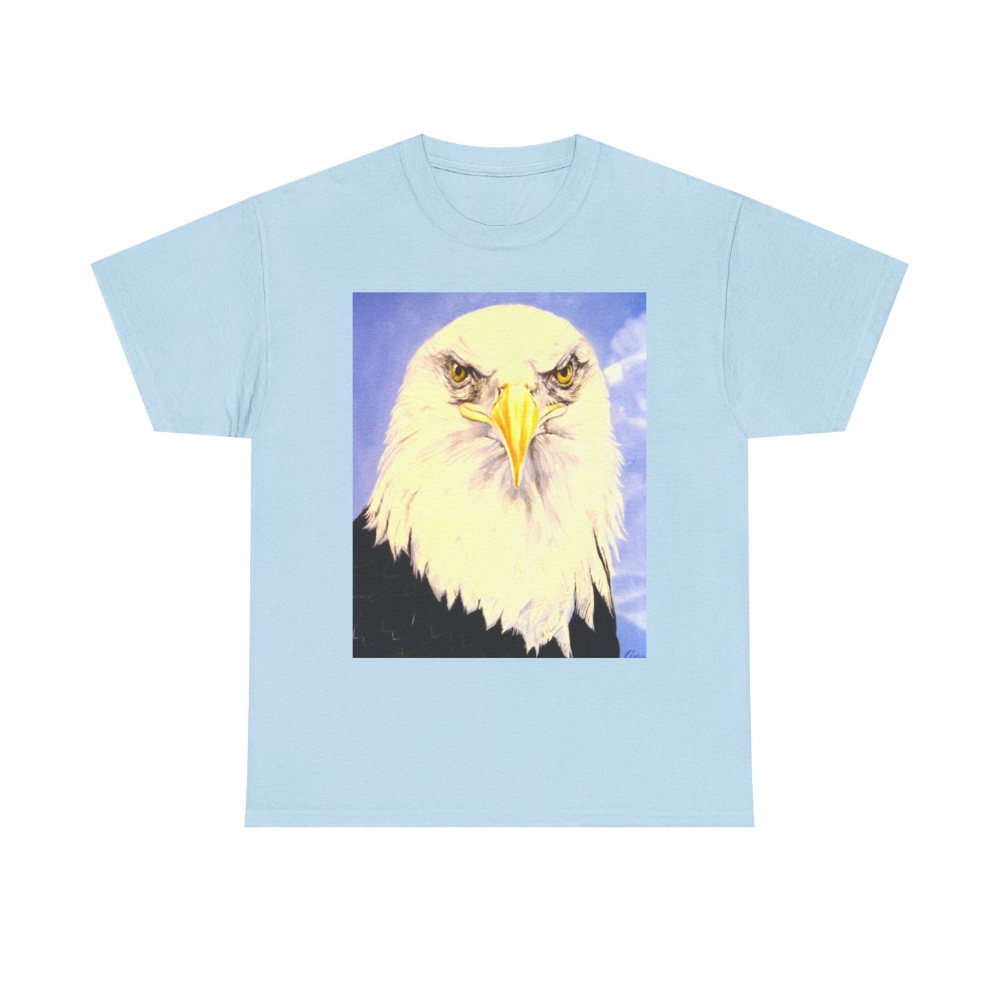 Bald Eagle Graphic Tee — Patriotic Vintage Bird T-Shirt with Arrow Back Design