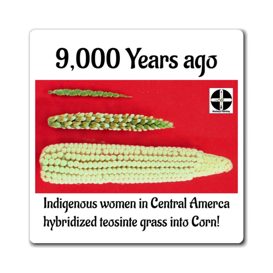 Corn Origins Magnet — “9,000 Years Ago” Teosinte to Corn Educational Refrigerator Magnet
