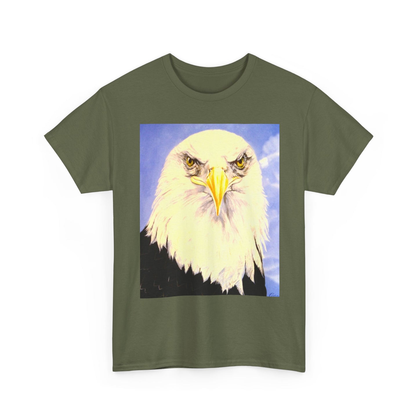 Bald Eagle Graphic Tee — Patriotic Vintage Bird T-Shirt with Arrow Back Design