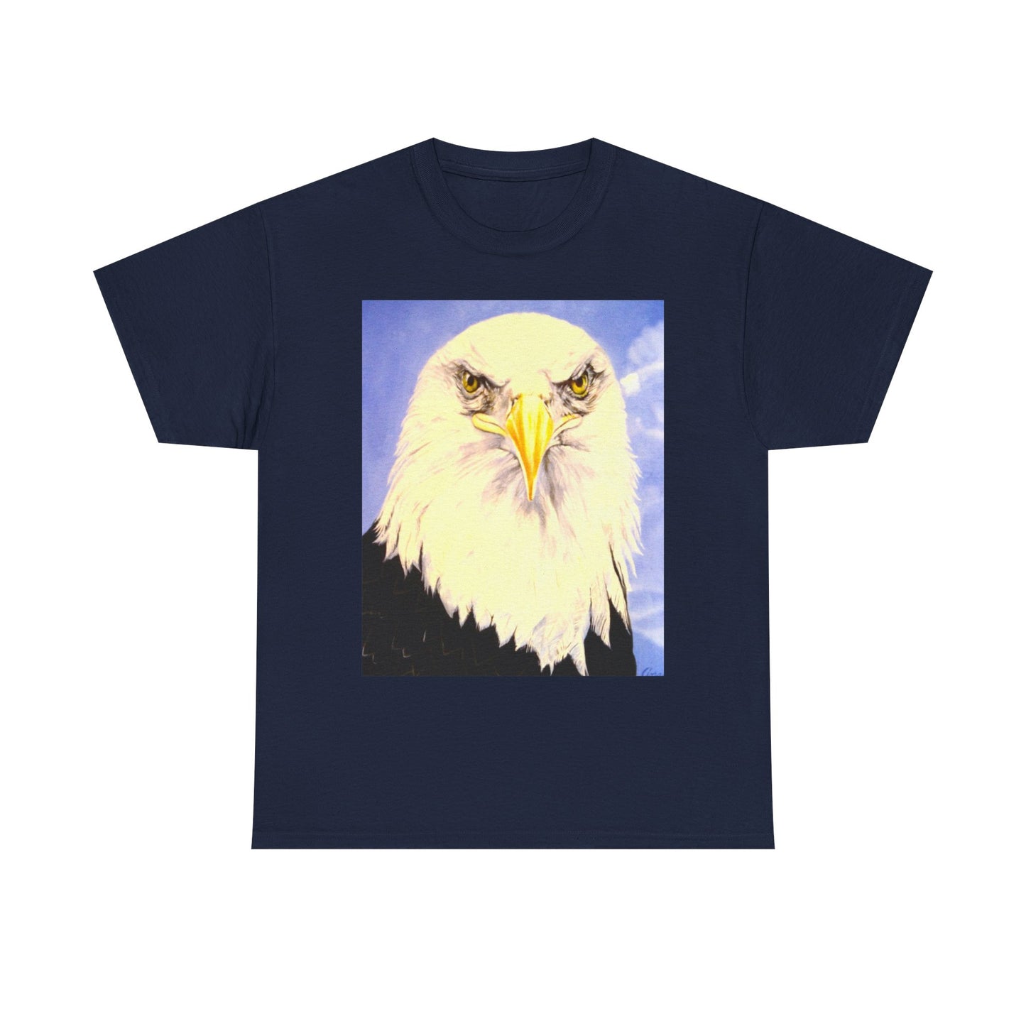 Bald Eagle Graphic Tee — Patriotic Vintage Bird T-Shirt with Arrow Back Design