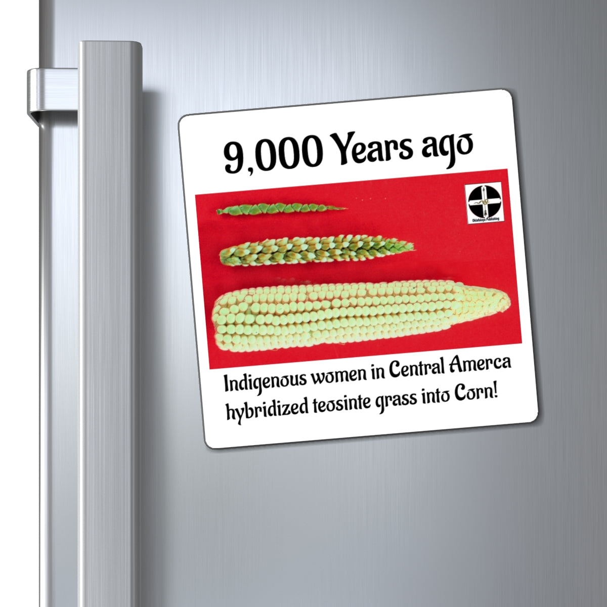 Corn Origins Magnet — “9,000 Years Ago” Teosinte to Corn Educational Refrigerator Magnet