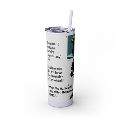 Aztec 20oz Skinny Tumbler - Educational Indigenous Artifacts Design