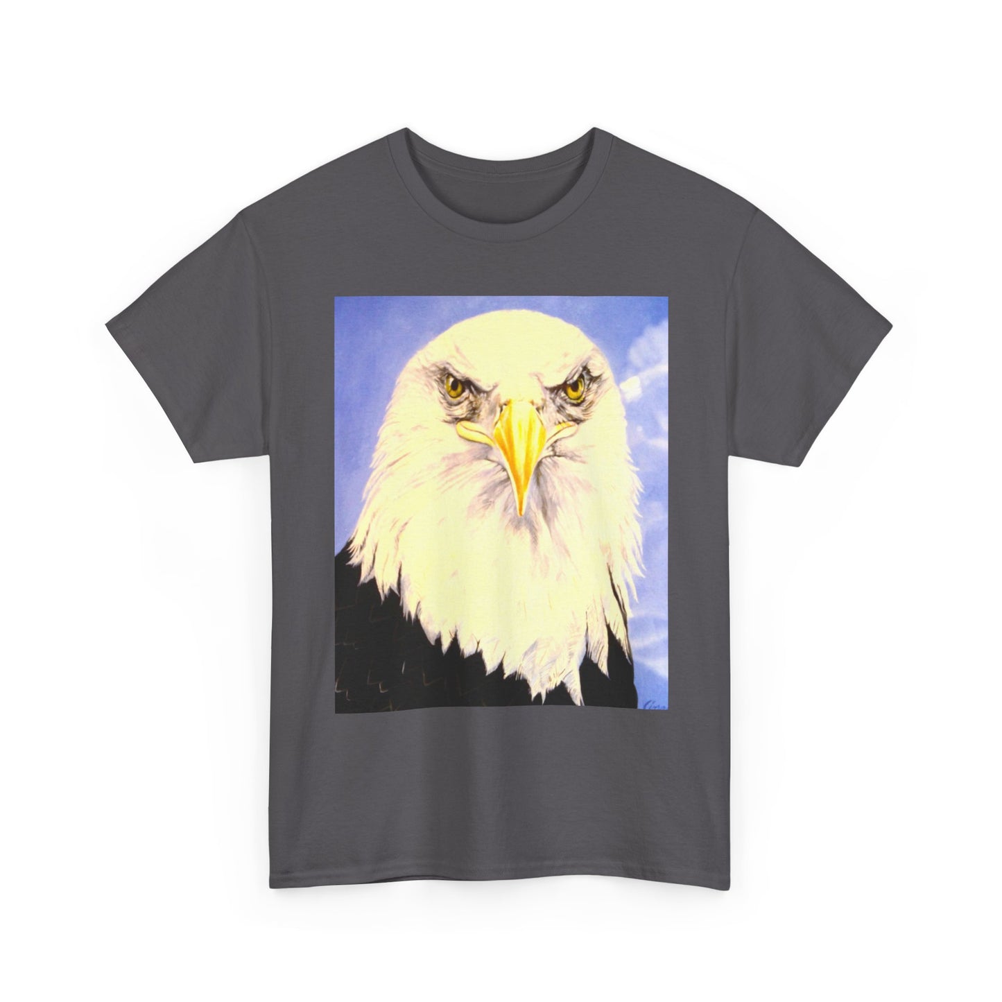 Bald Eagle Graphic Tee — Patriotic Vintage Bird T-Shirt with Arrow Back Design