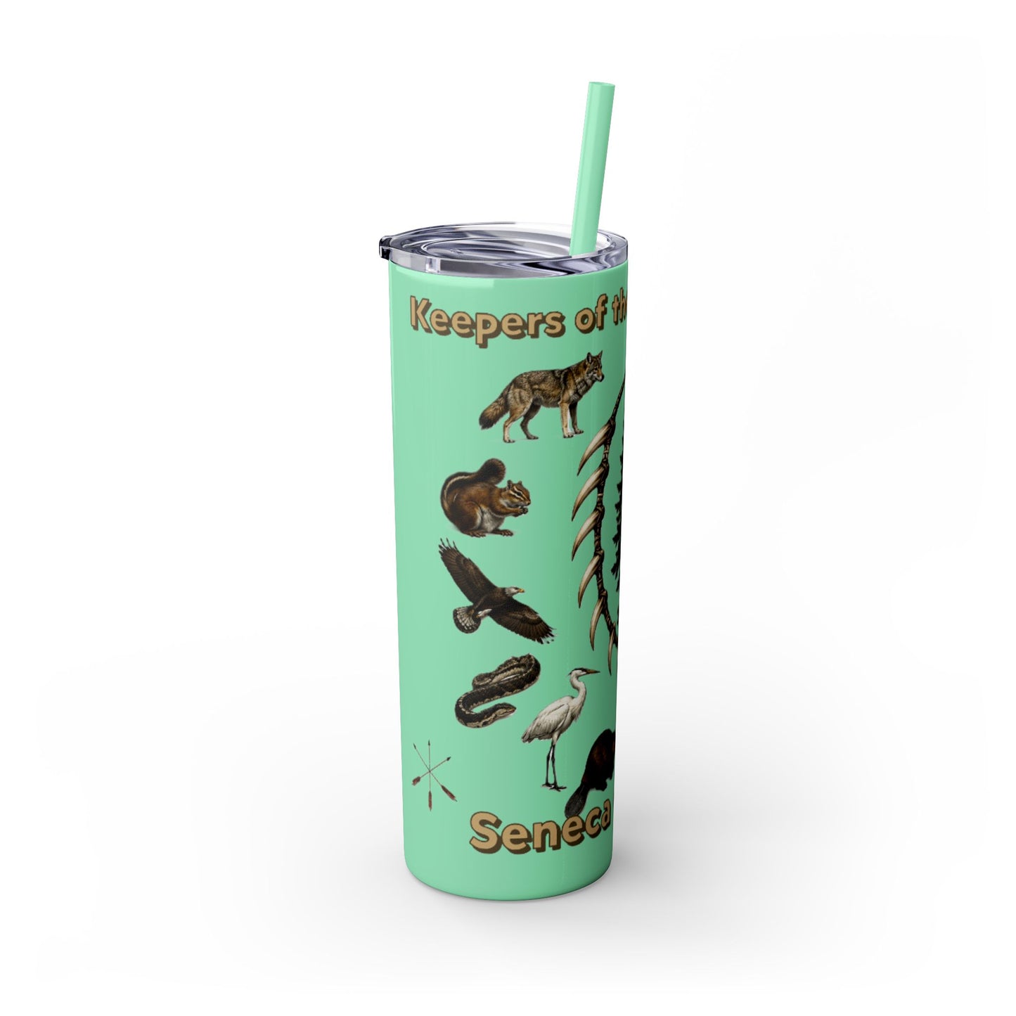 Seneca Cayuga Skinny Tumbler with Straw, 20oz