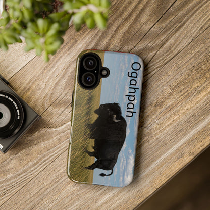 Quapaw Ogahpah Buffalo Phone Case — Native-Inspired Tough Case
