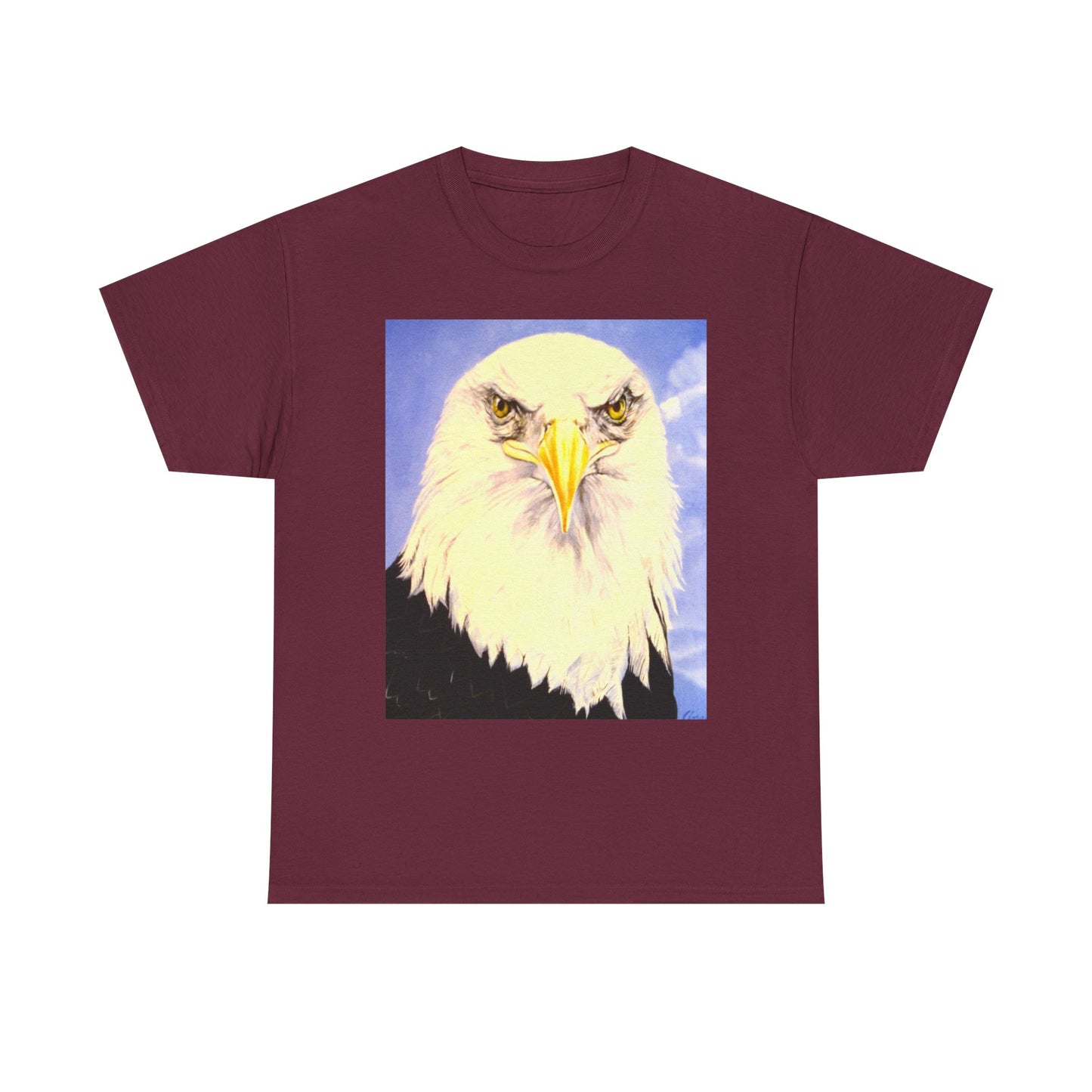 Bald Eagle Graphic Tee — Patriotic Vintage Bird T-Shirt with Arrow Back Design