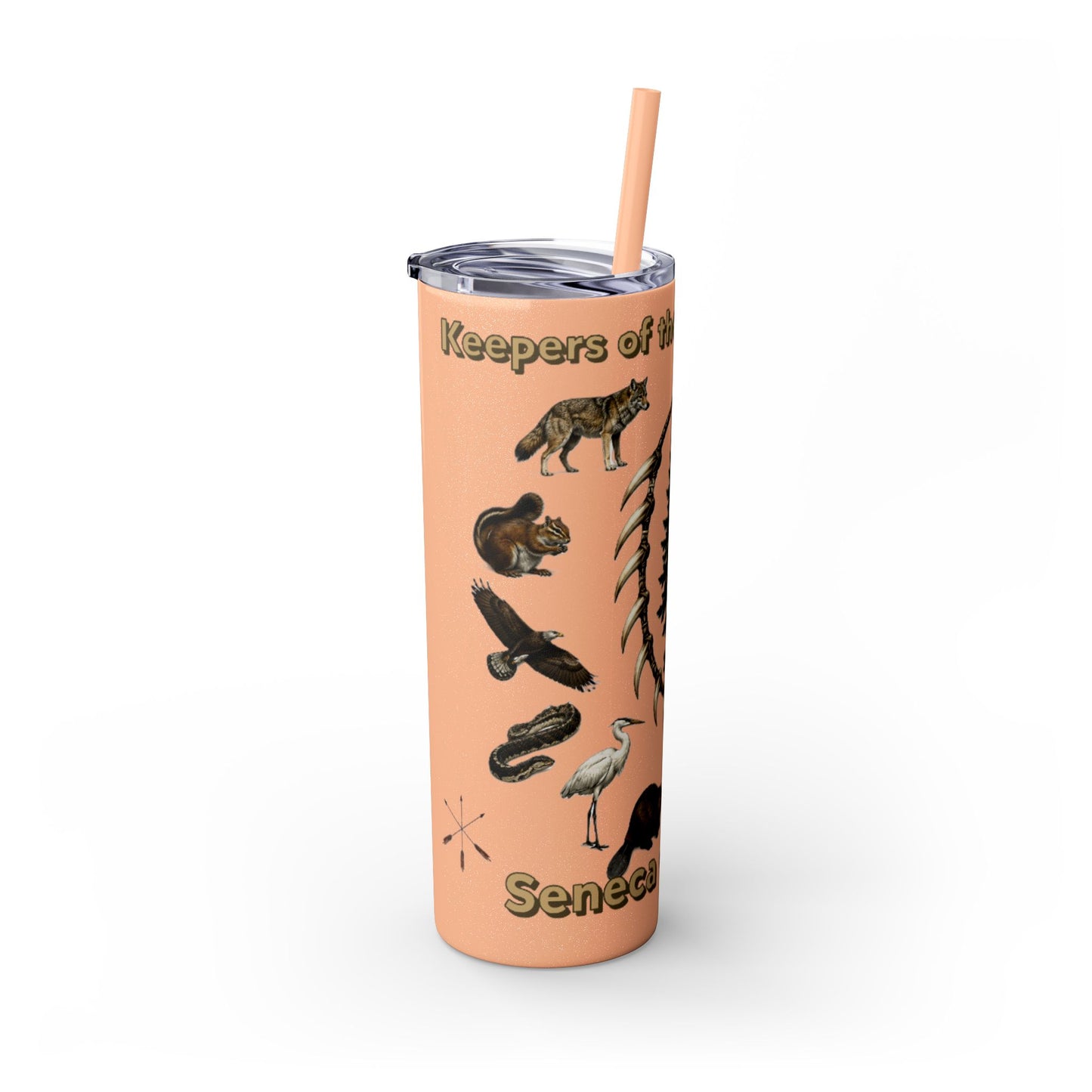 Seneca Cayuga Skinny Tumbler with Straw, 20oz