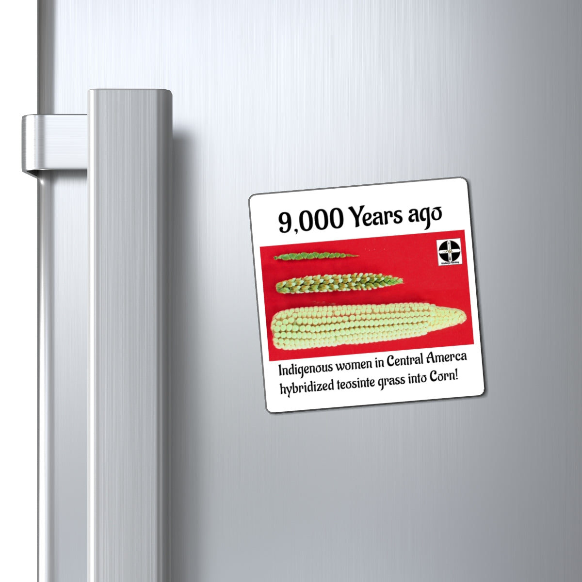 Corn Origins Magnet — “9,000 Years Ago” Teosinte to Corn Educational Refrigerator Magnet