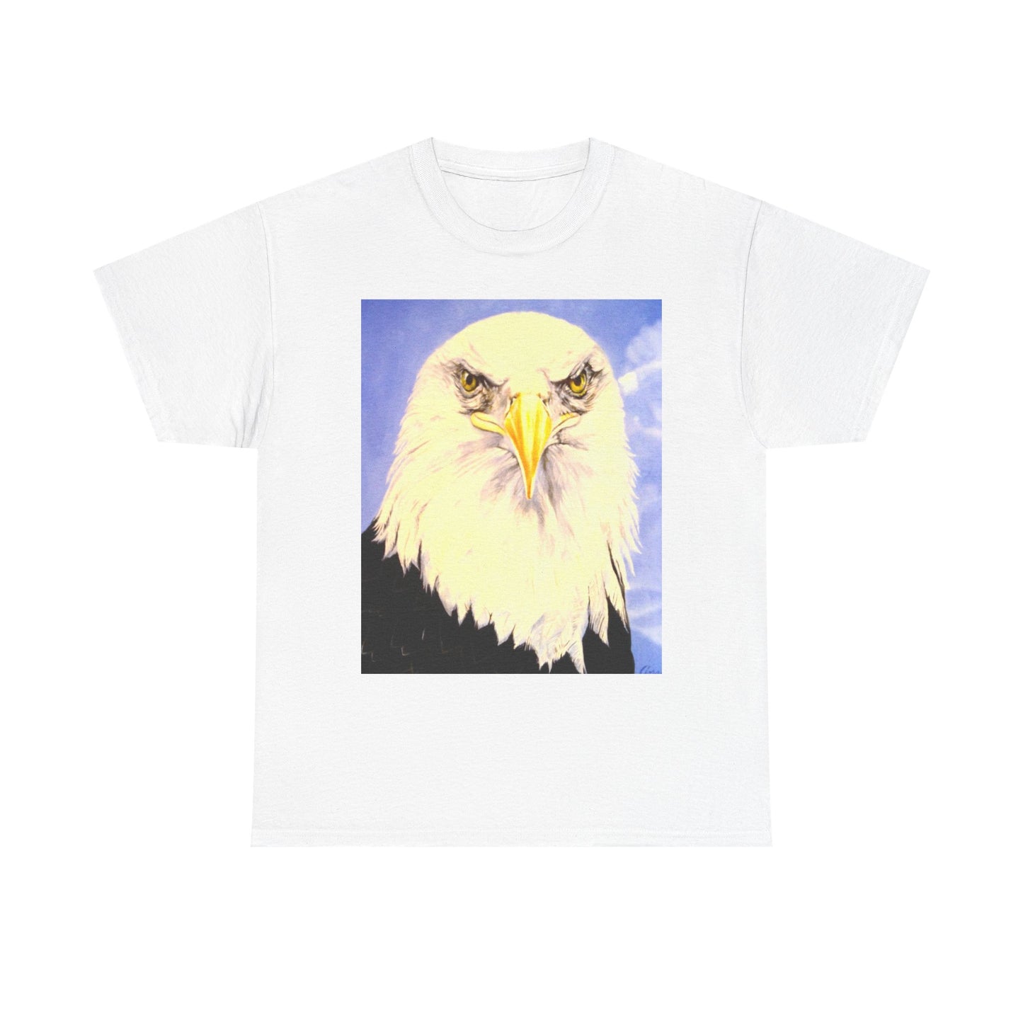 Bald Eagle Graphic Tee — Patriotic Vintage Bird T-Shirt with Arrow Back Design