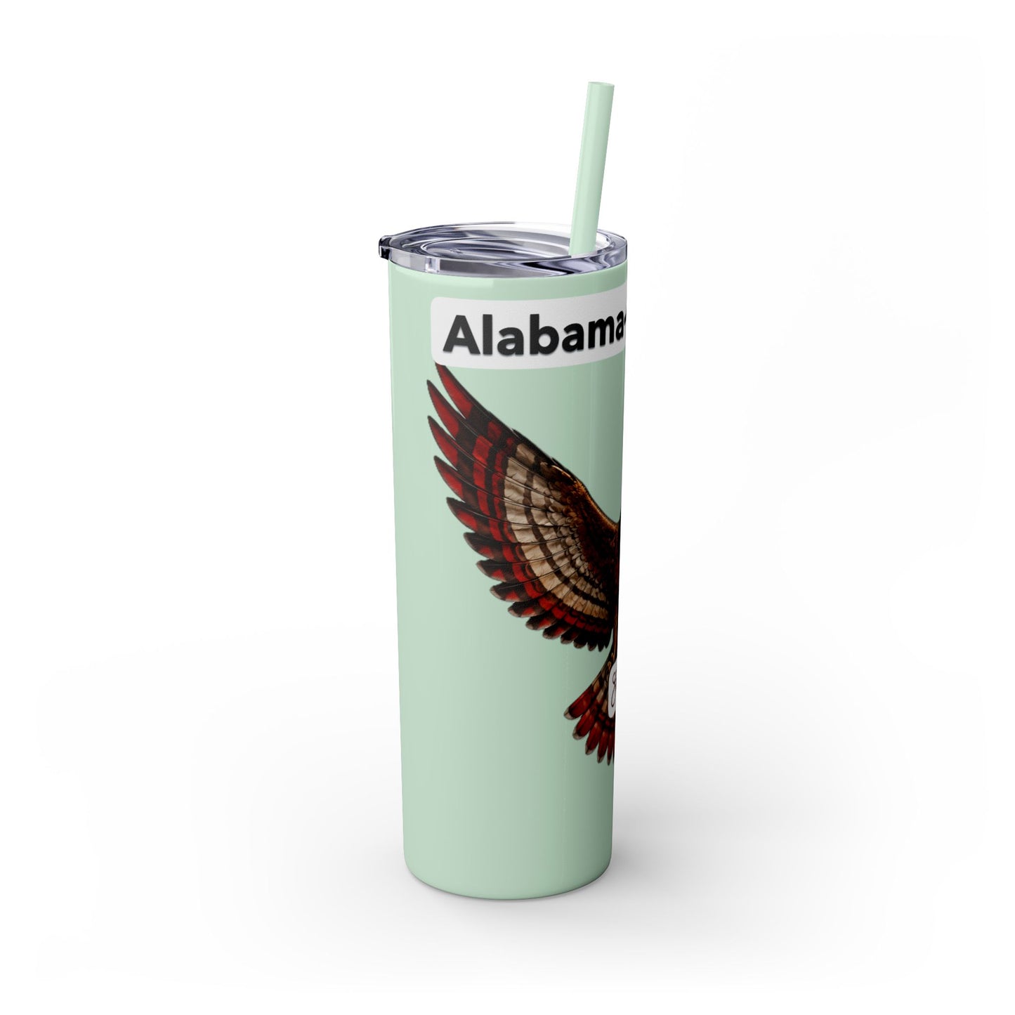 AQ Skinny Tumbler with Straw, 20oz