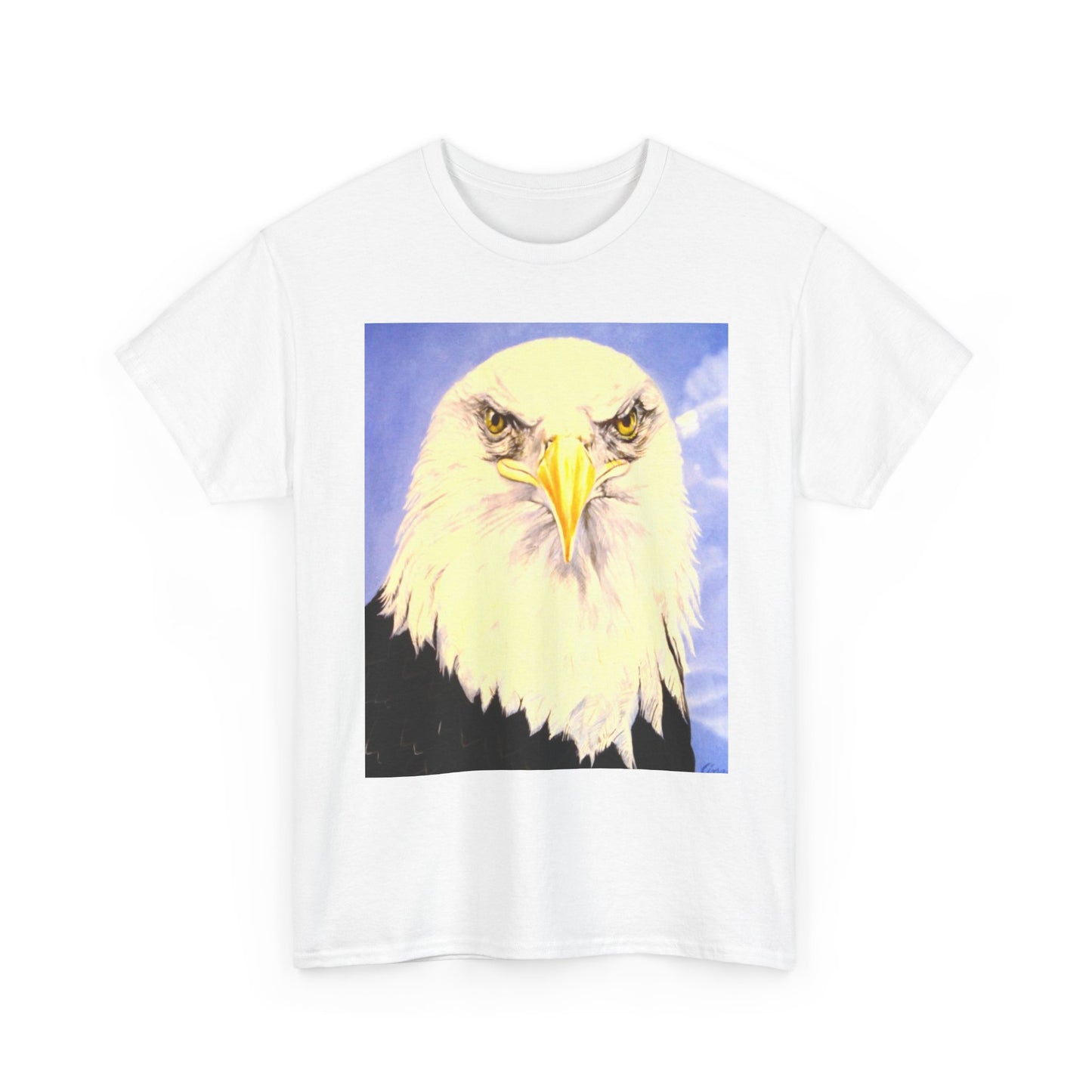 Bald Eagle Graphic Tee — Patriotic Vintage Bird T-Shirt with Arrow Back Design