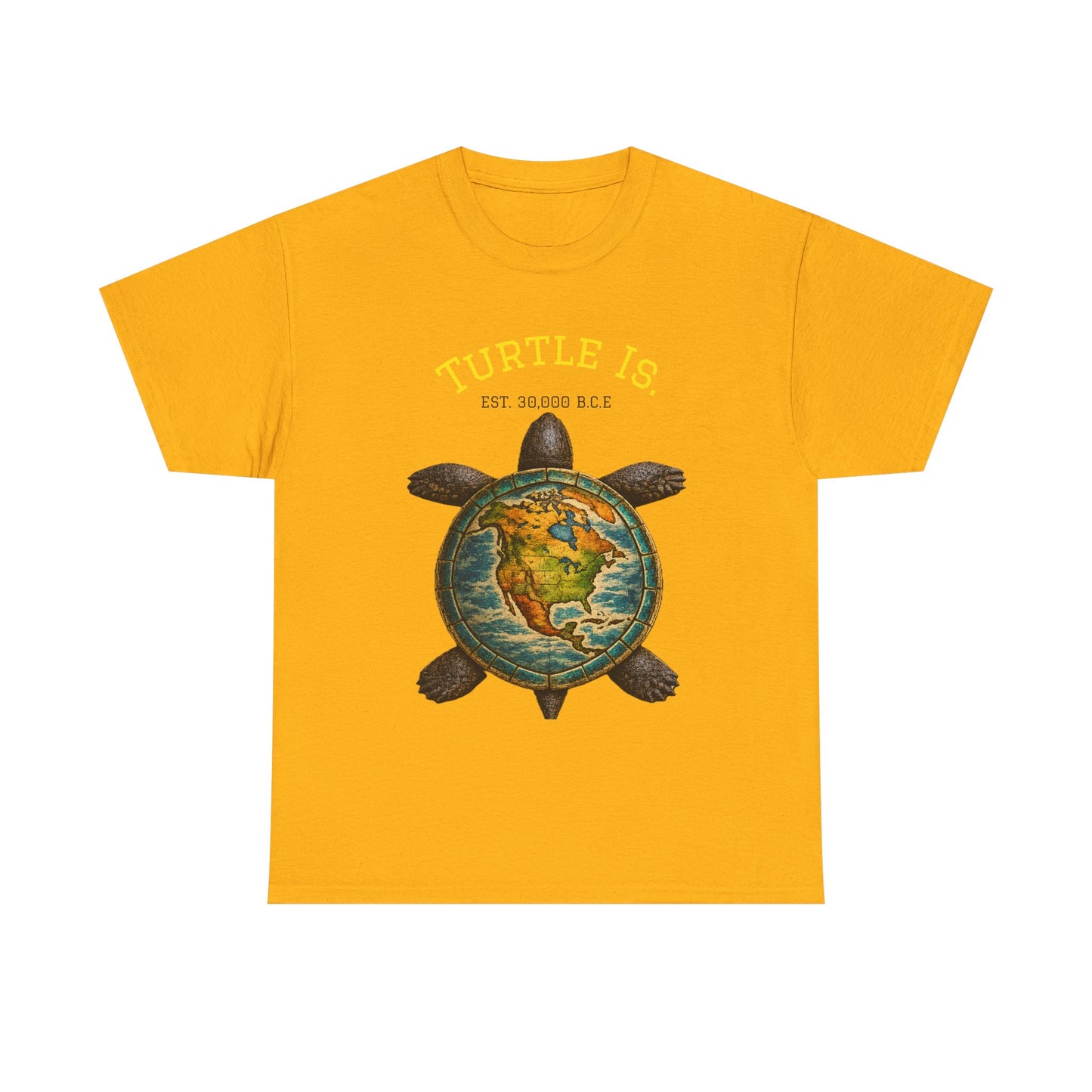 Turtle Globe Graphic Tee — "Turtle Is" Vintage Earth Turtle T-Shirt