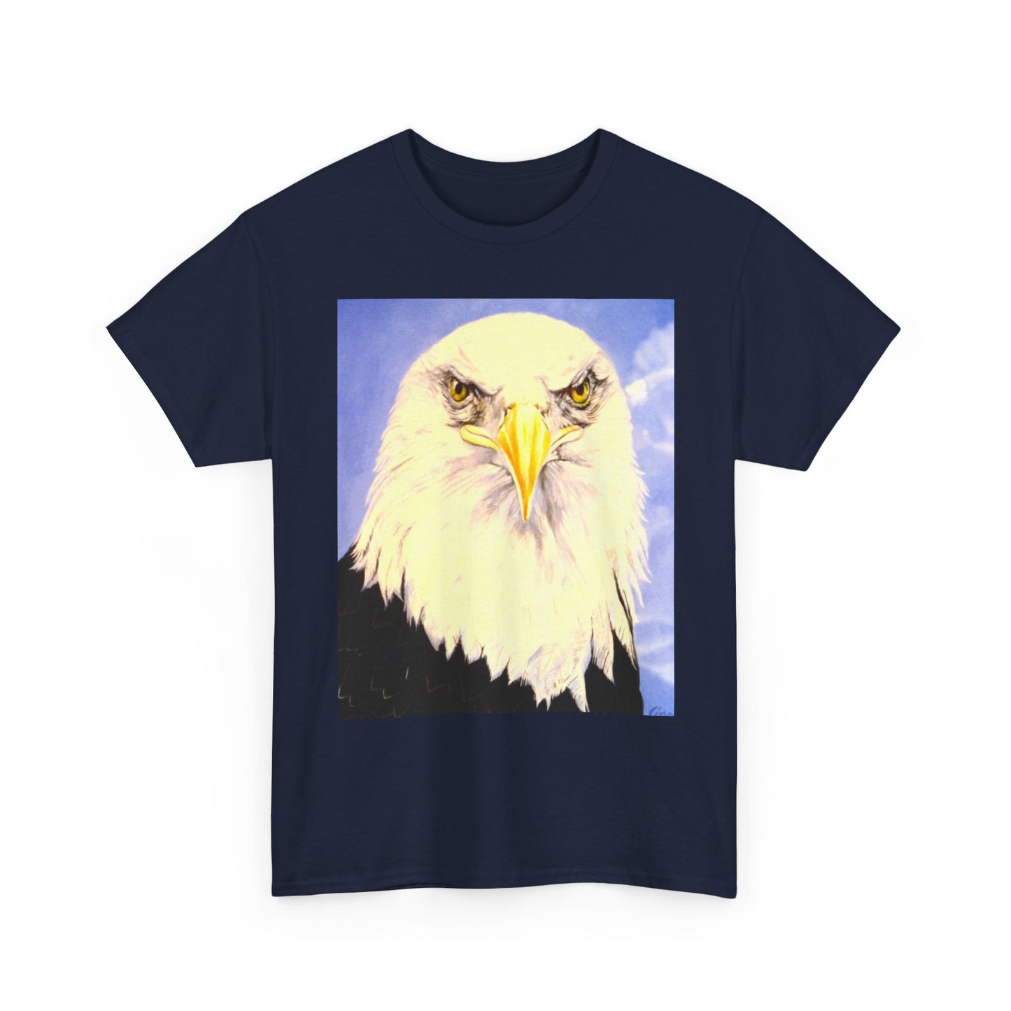 Bald Eagle Graphic Tee — Patriotic Vintage Bird T-Shirt with Arrow Back Design