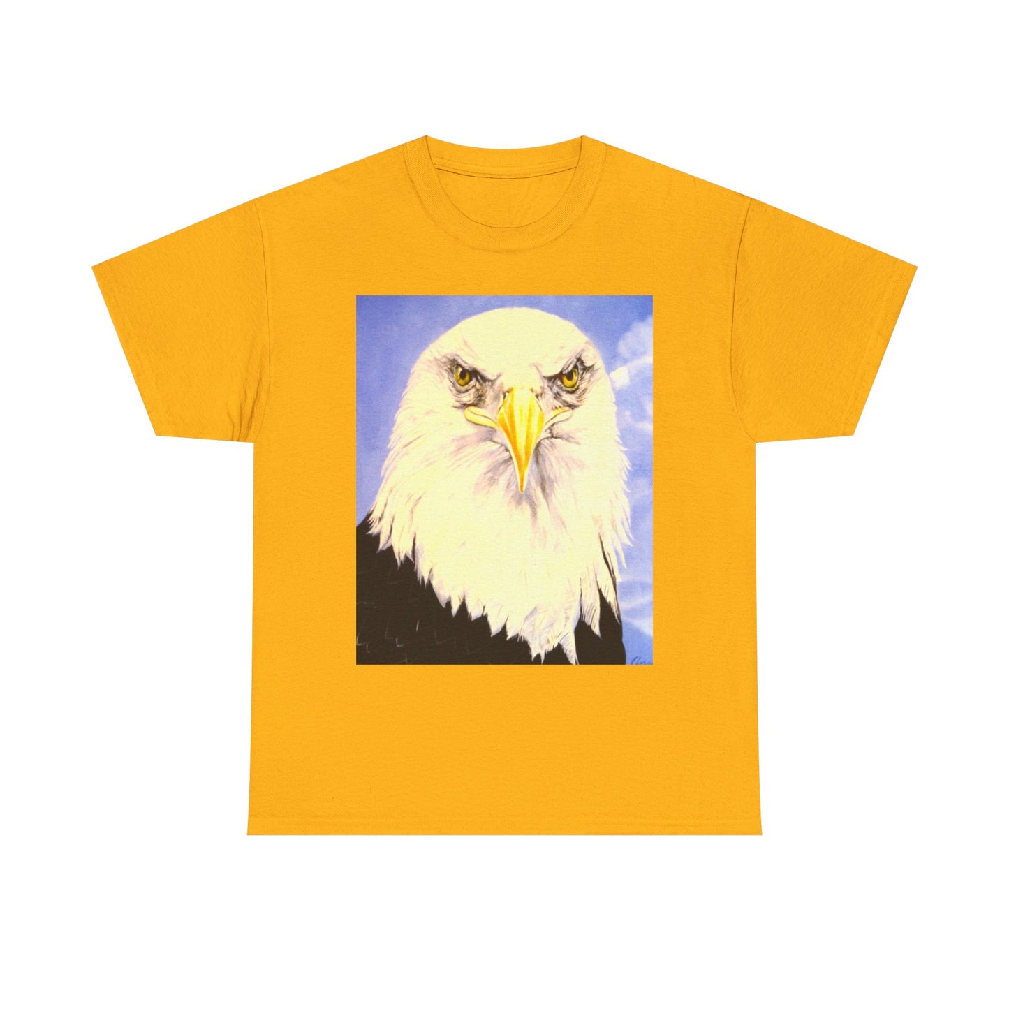 Bald Eagle Graphic Tee — Patriotic Vintage Bird T-Shirt with Arrow Back Design