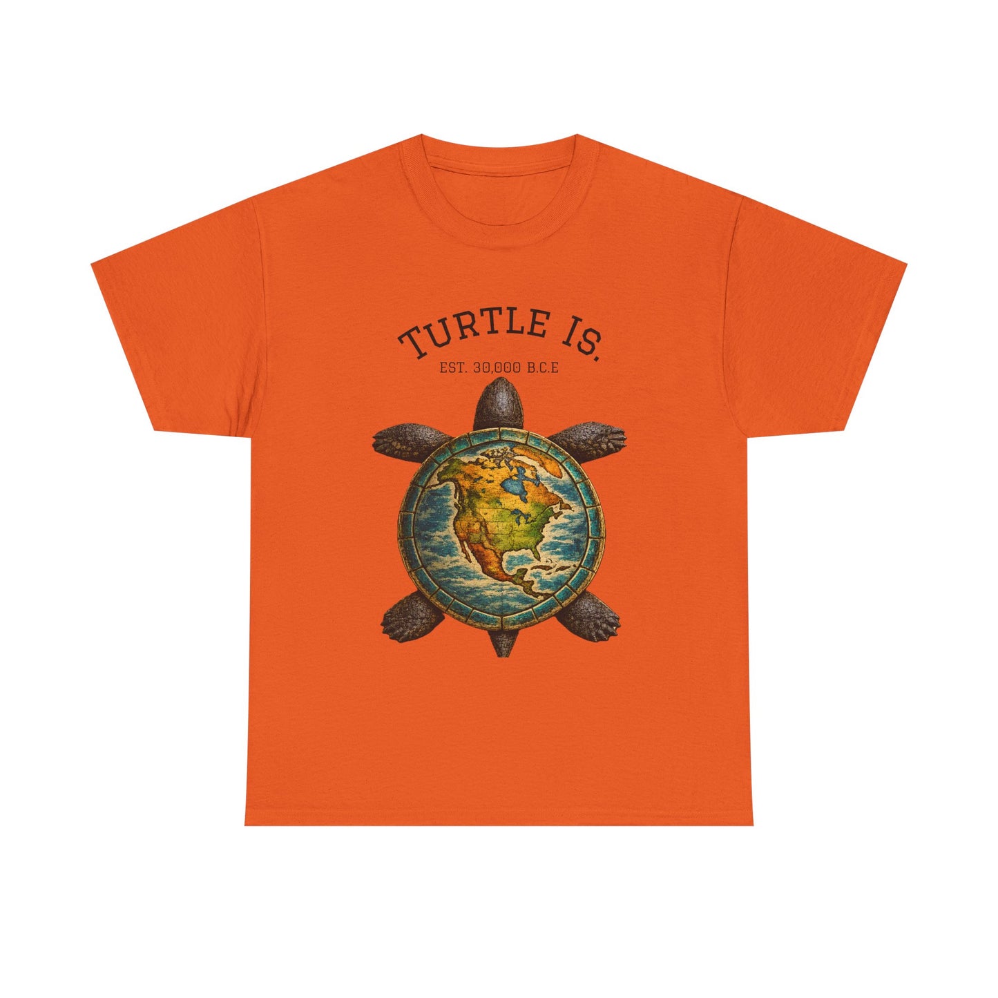 Turtle Globe Graphic Tee — "Turtle Is" Vintage Earth Turtle T-Shirt