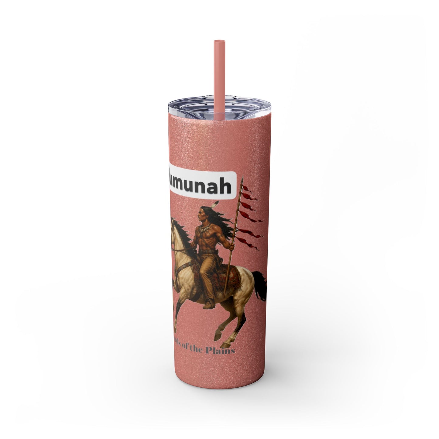 Comanche Numunah Warrior Horse 20oz Skinny Tumbler with Straw — Native American Inspired Travel Cup
