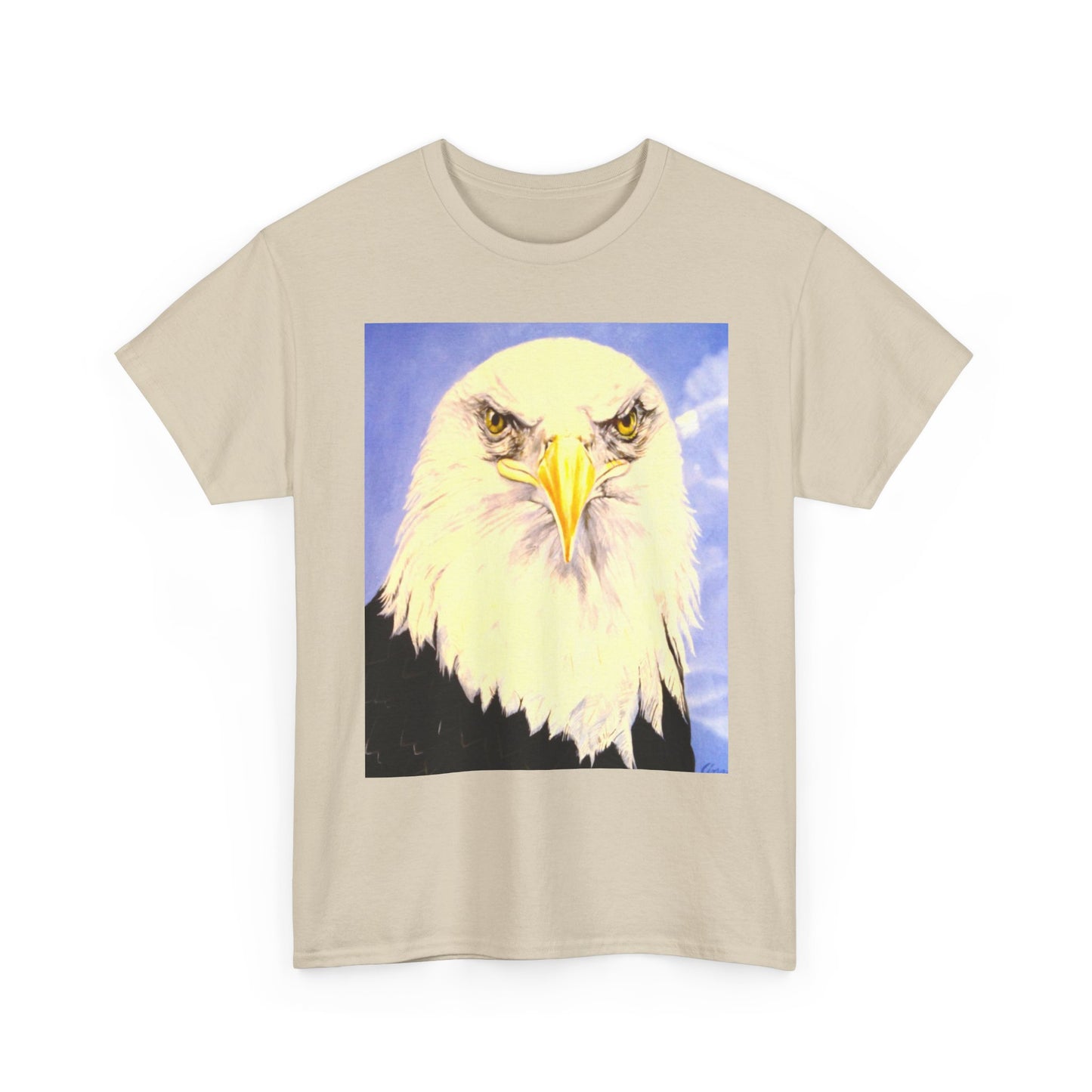 Bald Eagle Graphic Tee — Patriotic Vintage Bird T-Shirt with Arrow Back Design