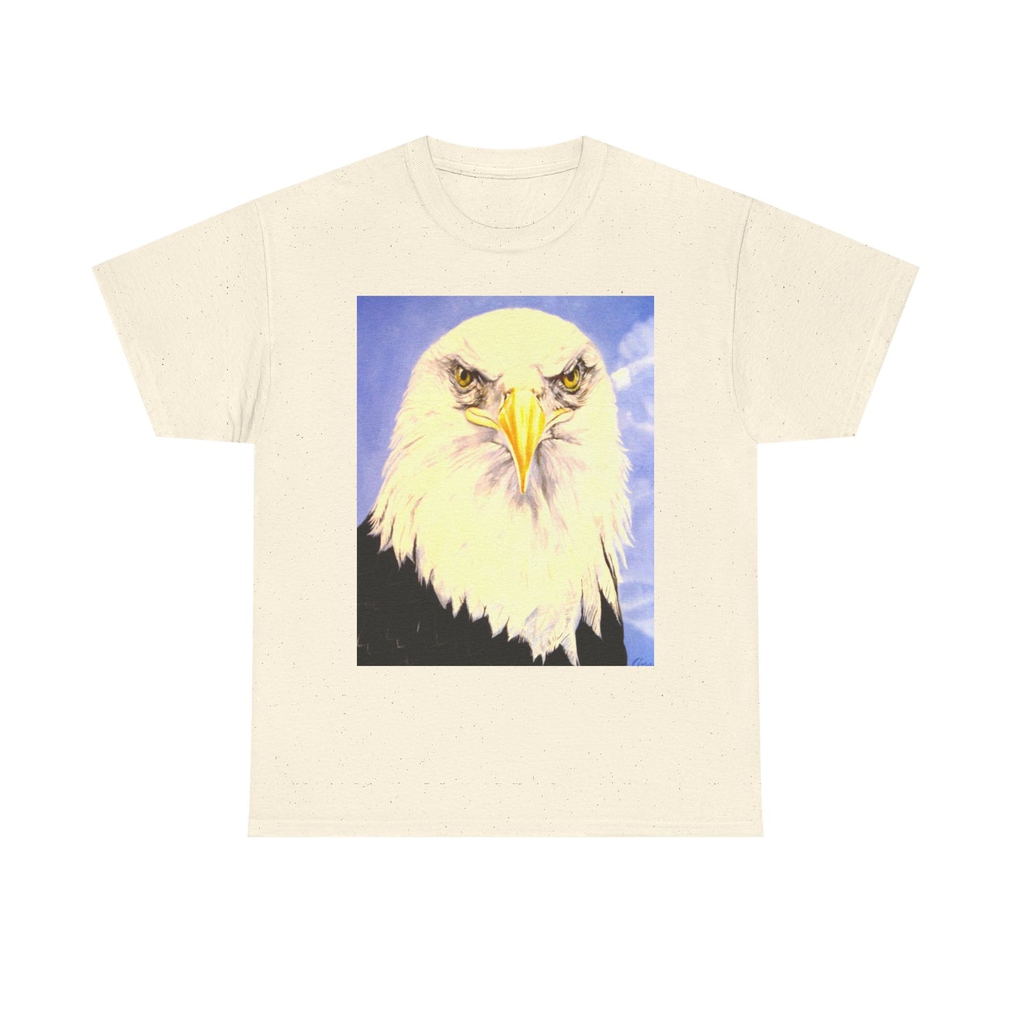 Bald Eagle Graphic Tee — Patriotic Vintage Bird T-Shirt with Arrow Back Design
