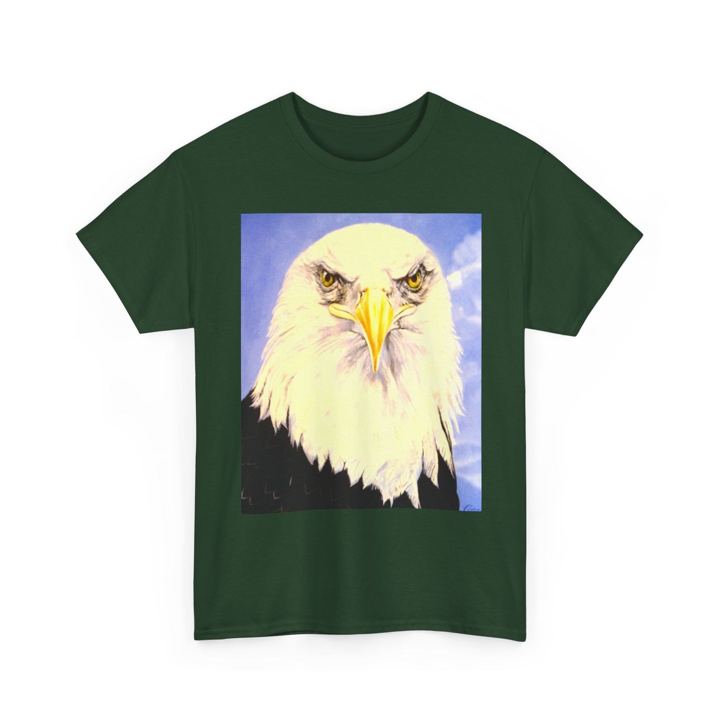 Bald Eagle Graphic Tee — Patriotic Vintage Bird T-Shirt with Arrow Back Design