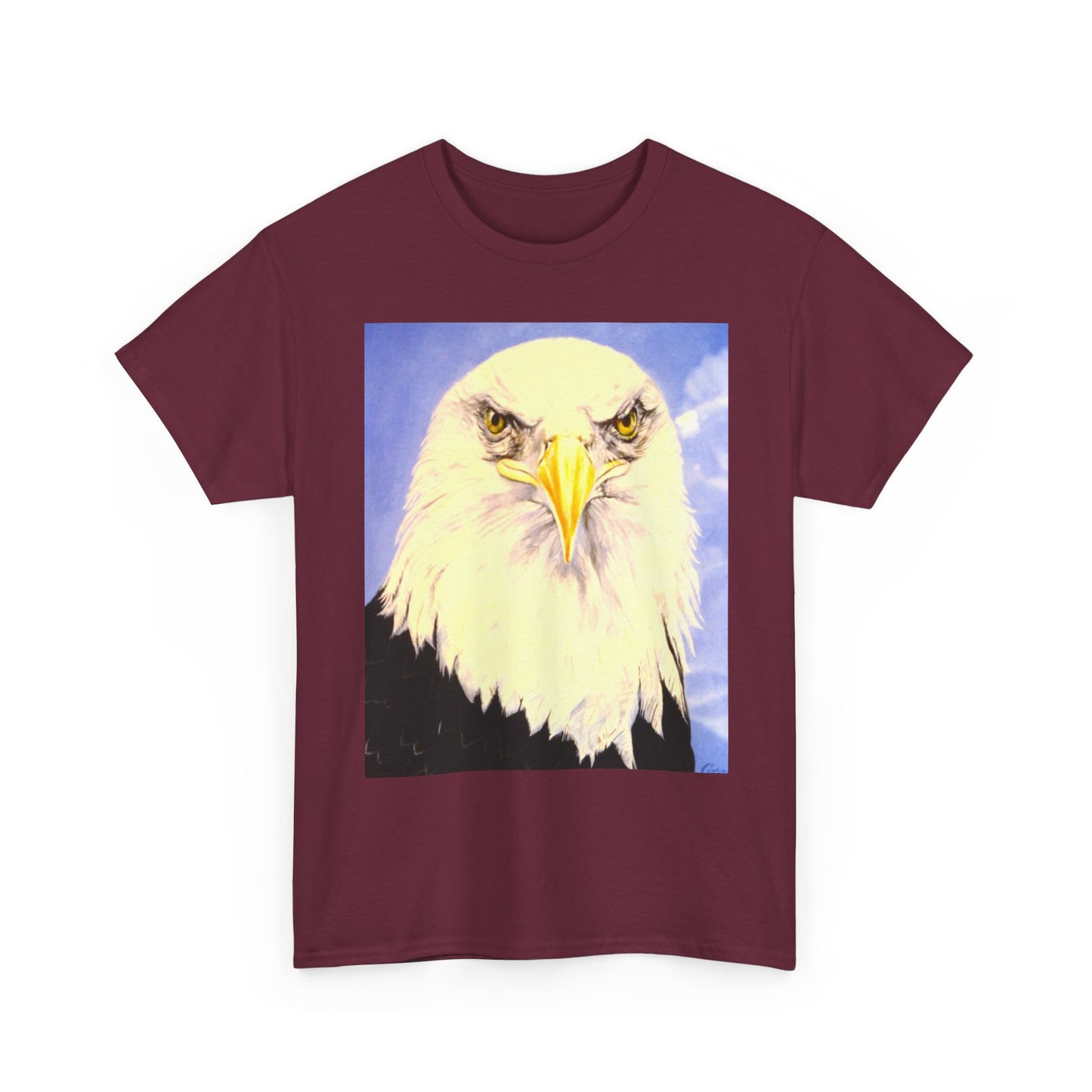 Bald Eagle Graphic Tee — Patriotic Vintage Bird T-Shirt with Arrow Back Design