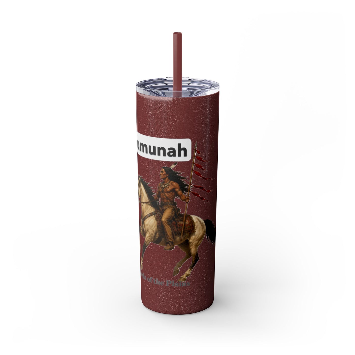 Comanche Numunah Warrior Horse 20oz Skinny Tumbler with Straw — Native American Inspired Travel Cup