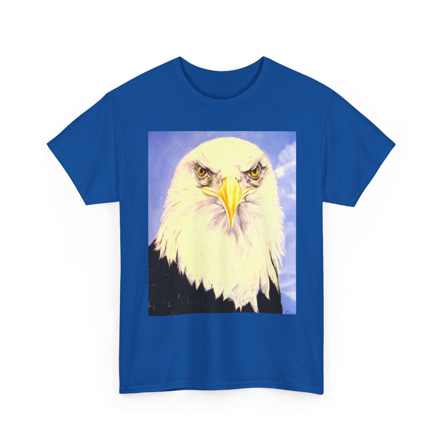Bald Eagle Graphic Tee — Patriotic Vintage Bird T-Shirt with Arrow Back Design