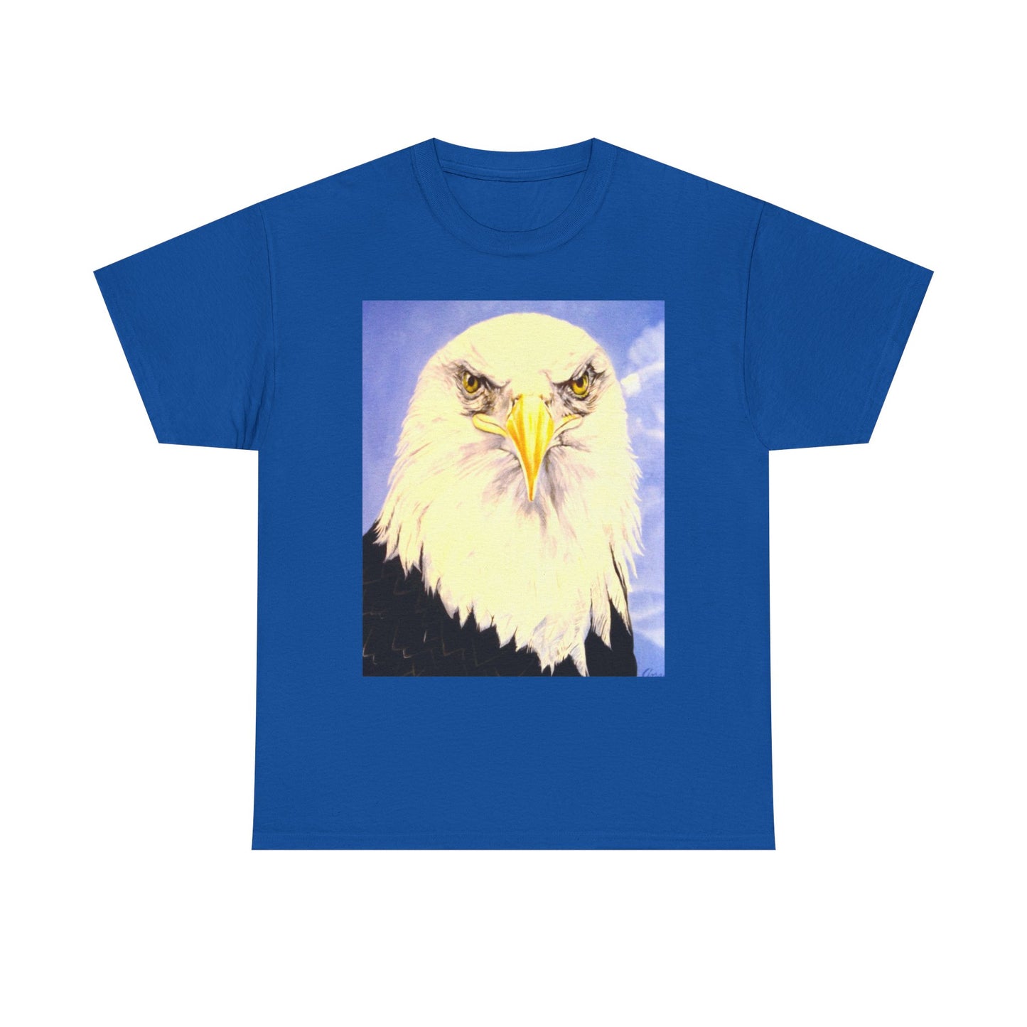 Bald Eagle Graphic Tee — Patriotic Vintage Bird T-Shirt with Arrow Back Design