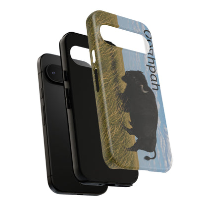 Quapaw Ogahpah Buffalo Phone Case — Native-Inspired Tough Case