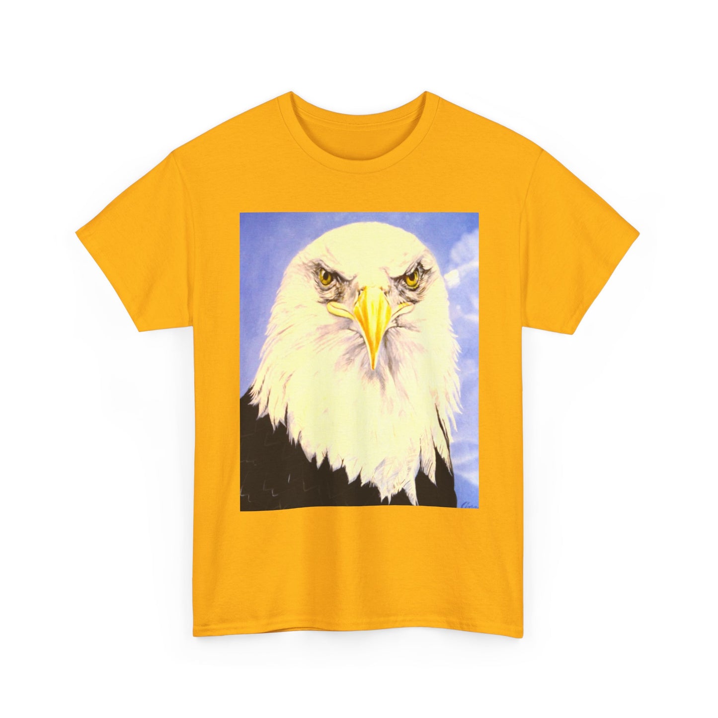Bald Eagle Graphic Tee — Patriotic Vintage Bird T-Shirt with Arrow Back Design