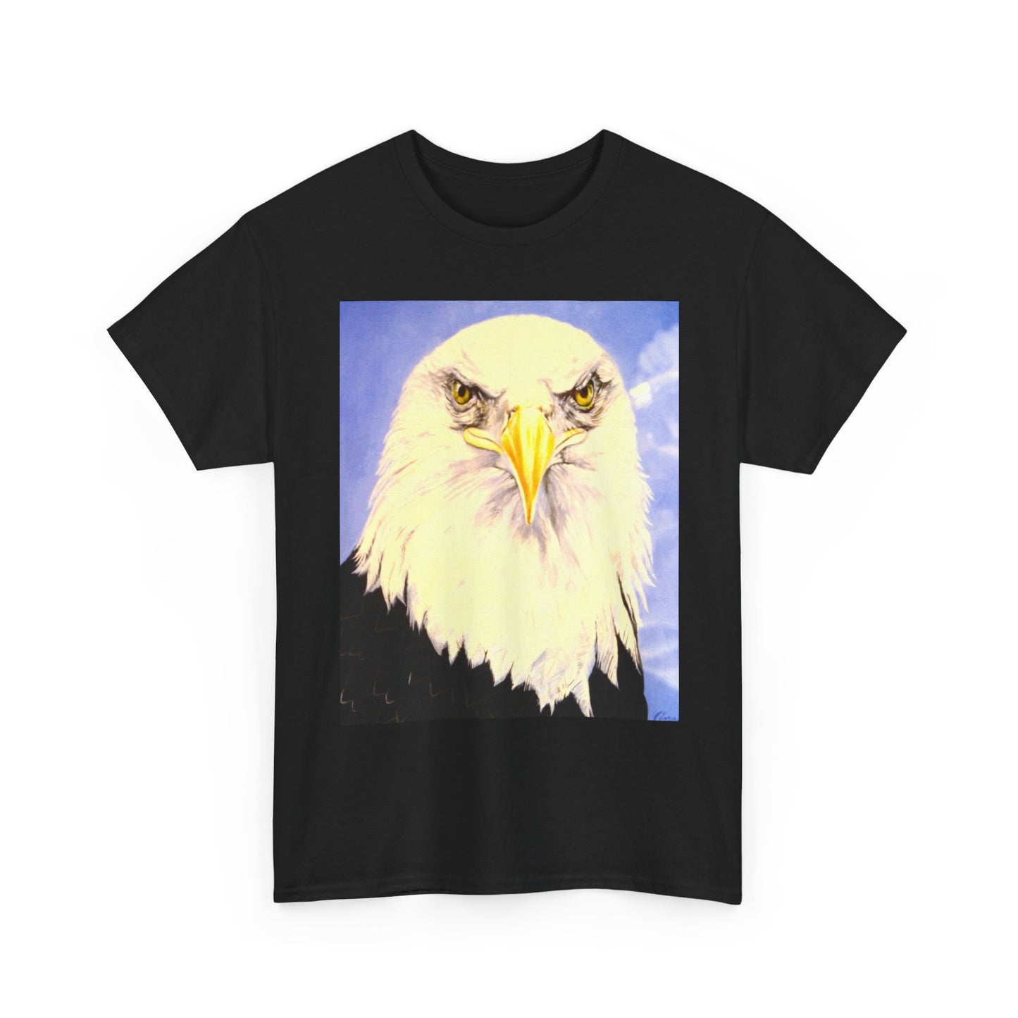 Bald Eagle Graphic Tee — Patriotic Vintage Bird T-Shirt with Arrow Back Design