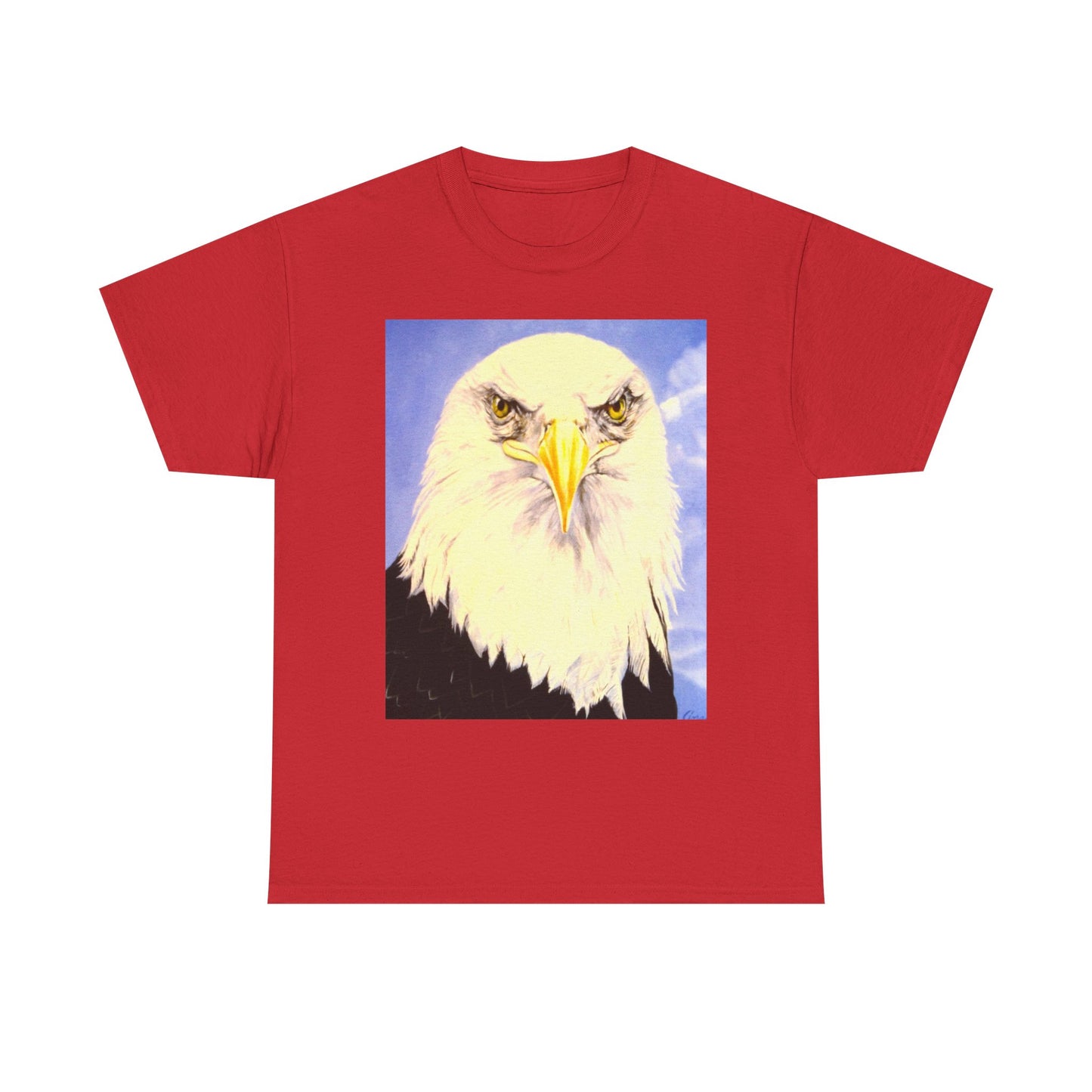 Bald Eagle Graphic Tee — Patriotic Vintage Bird T-Shirt with Arrow Back Design